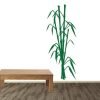 bamboo